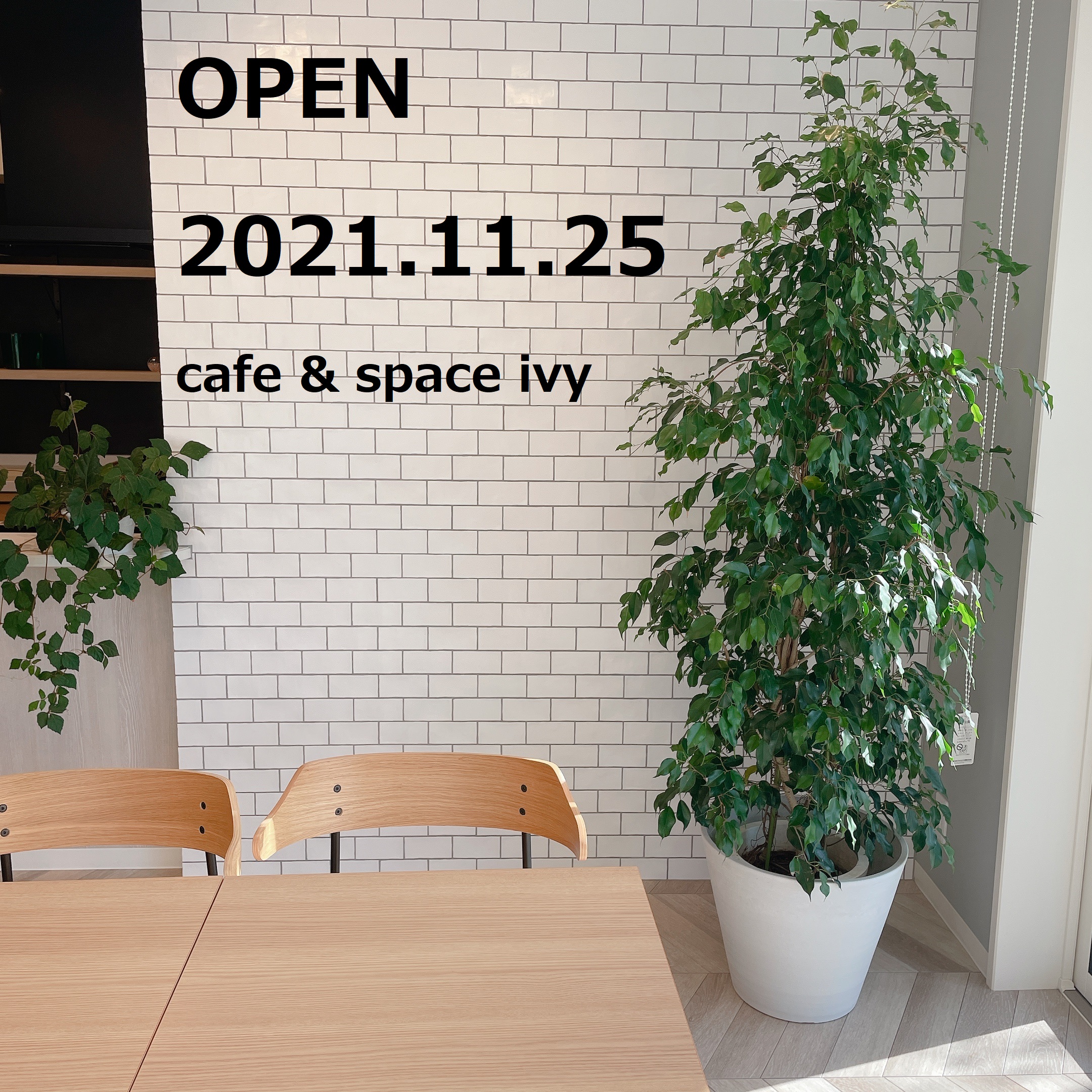 cafe & space ivy オープンのお知らせ